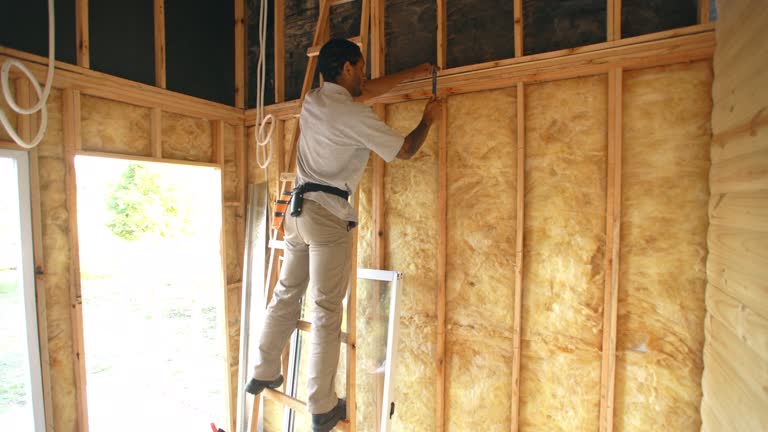 Types of Insulation We Offer in Ferris, TX